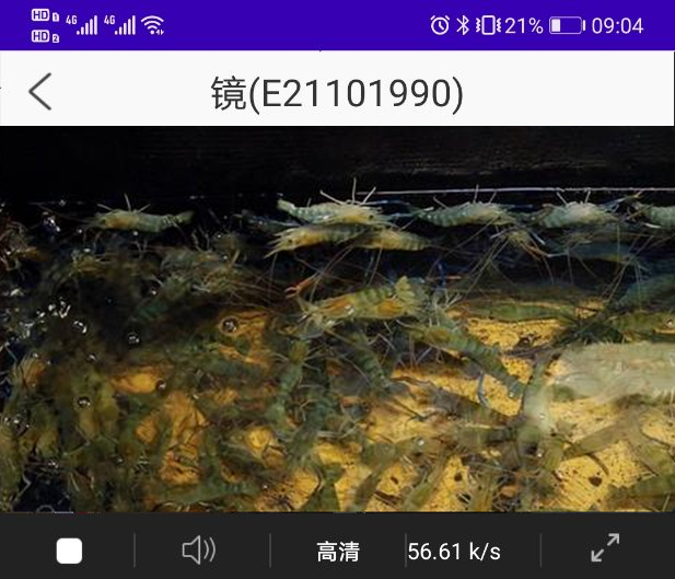 水産(chǎn)監測